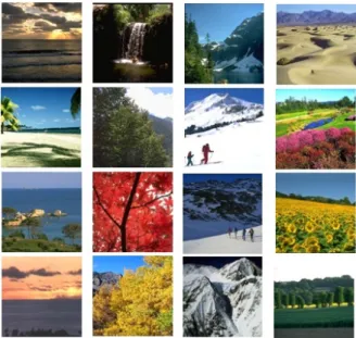 Figure 4 shows some examples of OT8 images. The OT8 scene dataset is used in these experiments to evaluate the proposed CCLBP and to compare its performance with the gray CLBP under various training images