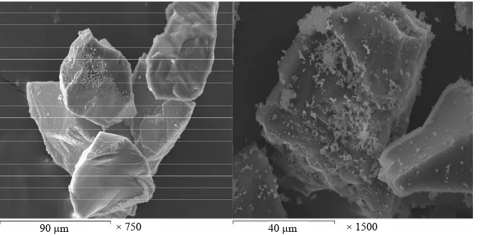 Figure 1. SEM image for the diamond coated with NiWB film. 