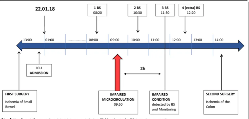 Fig. 4 Timeline of the case since intensive care admission. BS blood sample, ICU intensive care unit