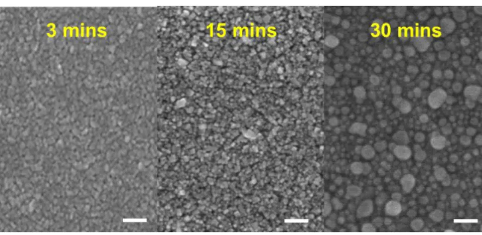 Figure S2. Top-view SEM image of CsPbBr 3  NCs film ripened for 3, 15, and 30 mins,  respectively at 120°C