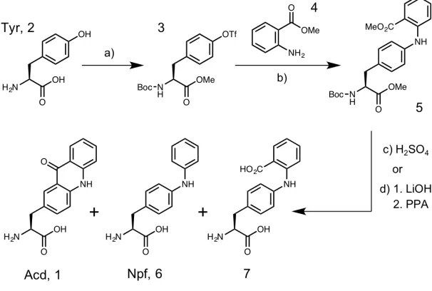 Figure 2.1. Synthesis of Acd by H2SO4 or Polyphosphoric Acid (PPA) Routes. (a) 1. SOCl2, MeOH 2