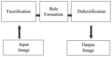 Figure [1.1]: the general structure of fuzzy image processing. 