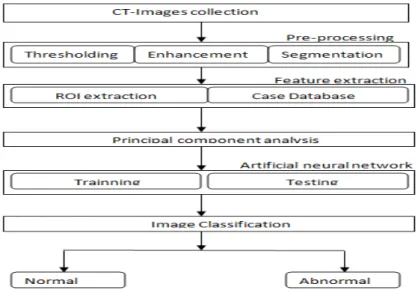 Figure 2: Stages for lung classification. 