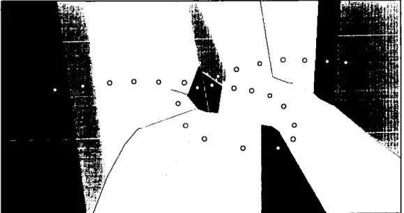 Figure 3-8 Voronoi diagram. The points are represented in white, and the  polygons in different colours