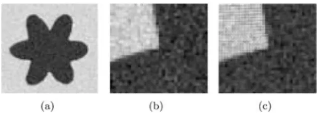 Figure 5. Figure (a) presents an object which boundary is a har- har-monic curve. Figure (b) shows the gradient of the given image and Figure (c) presents the extended image gradient using the GVF method.