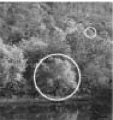 Figure 1. Illustration of a multiscale image. At fine scales (little white circle), leaves are significant, at intermediate scales, trees are relevant (large white circle) and finally at large scales, the whole forest is significant.