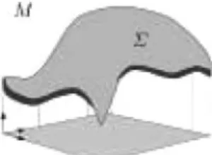 Figure 3. The manifold  embedded in M, reproduced from (Sochen et al., 1998).