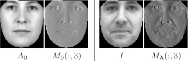 Figure 2. Left: Mean texture A 0 and x-tranlation mean motion template (third column of M 0 )