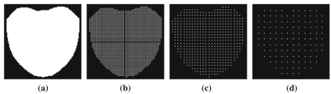 Fig. 3 Subset of pixels on the reference frame used to optimize the SSD and Project-Out cost functions for different sampling rates