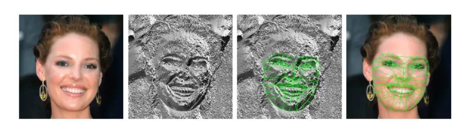 Fig. 1. The proposed Active Orientation Models (AOMs) are generative deformable models that: (i) use a statistically robust appearance model based on images gradient orientations, (ii) are accompanied by a robust algorithm for model fitting and  param-eter