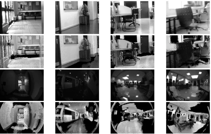 Fig. 5: Near-infrared and polarization images given in inputs of the registration method (first and third rows), virtual images rendered at the virtual camera poses estimated using the proposed registration method (second and fourth rows)