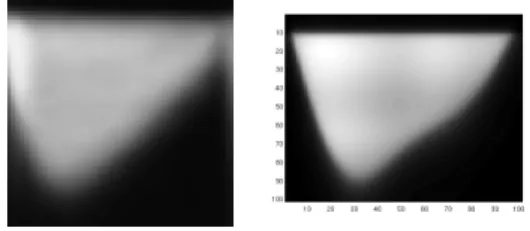 Figure 6: The average intensity atlas (left) and the phantom image (right)