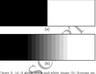Figure 3: (a) A single black-and-white image (b) Average im- im-age of the group at their maximal misalignment.
