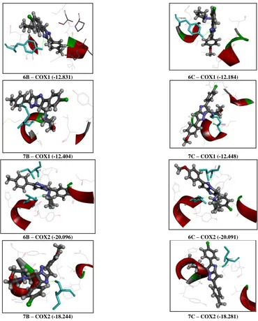 Figure 1:  ADMET properties for synthesized compounds with graphical representation  