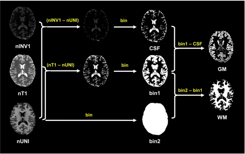 Fig 3. Scheme of the proposed method. nT1: normalized T1, nINV1: normalized INV1, nUNI: normalized UNI, bin: binarization.