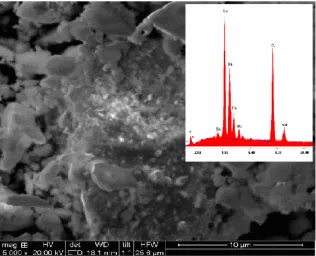 Fig. 4. SEM Micrograph and EDS spectra of sample-B   