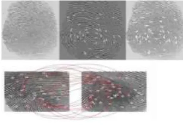 Fig 4.2 Fingerprint Matching 