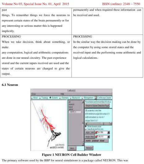 Figure 1 NEURON Cell Builder Window 