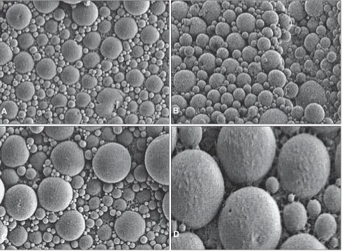 Fig. 2: SEM of surface characteristics of BSA loaded PLGA microspheres.Scanning electron micrograph of the surface characteristics of BSA containing PLGA microspheres at a magniÞ cation of 4.02 K X.