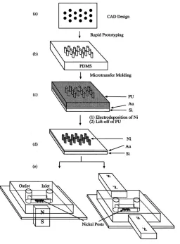 Figure 1.5 Schematics of the fabrication sequence of a magnetic filtration system using arrays of microfabricated nickel posts along with external field to generate high magnetic field gradients in 