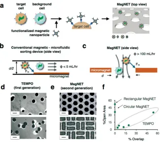 Figure 1.6 A magnetic sorting system (MagNET) [29] utilizing the high magnetic gradient near the edge of the numerous micropores (traps) patterned on NiFe films to trap magnetically labeled 
