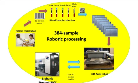 Fig. 1 Biobanking work flow in the hospital where automated processing of 384‑tube systems are processed by the “384 Sample Array Robot”.