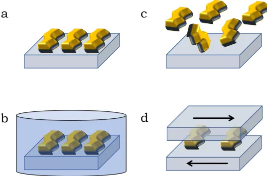 Figure 2.1: Wavy wall cell fabrication. (a) Fabricate the wavy wall on glass coverslips viaSU-8 lithography