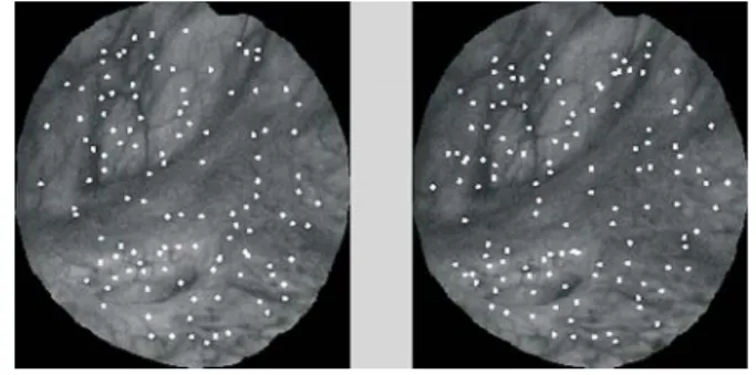 Fig. 4: SIFT features located in image one (left) and image two (right)