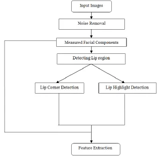 Figure 1: Detection of Identical Twins Process 