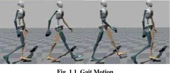 Fig. 1.1. Gait Motion 