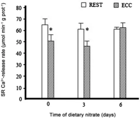 Figure 3. Effect of dietary nitrate on SR Ca2+-uptake rate immediately following eccentric contraction