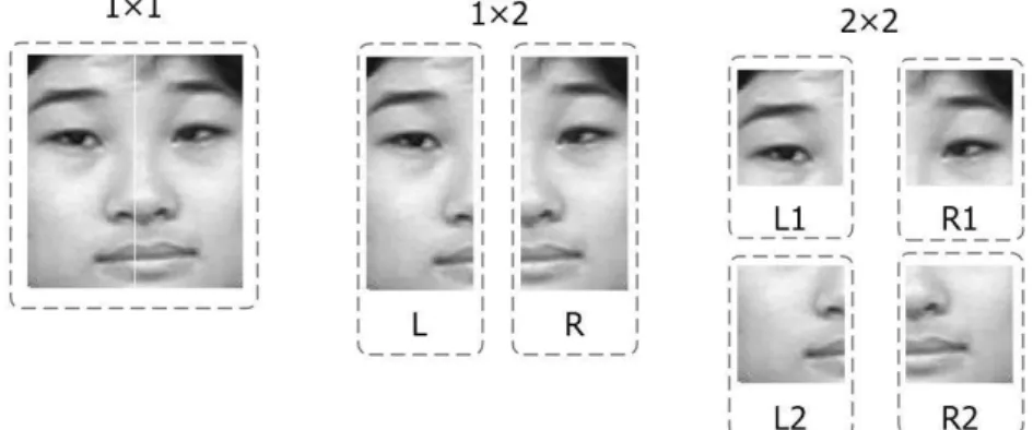 Figure 2. The design of multi-blocks face in three representations 