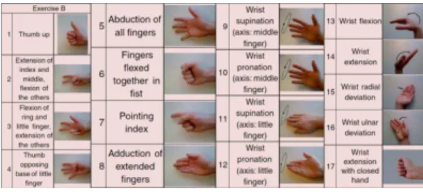 Fig. 1: Hand movements of Exercise B [8]