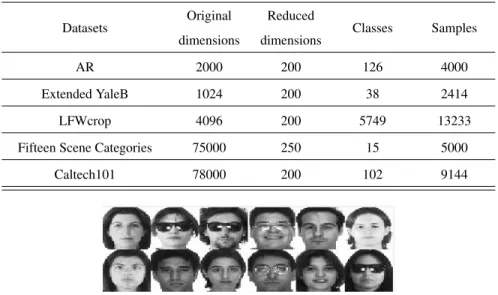 Figure 1: Some samples in the AR dataset.