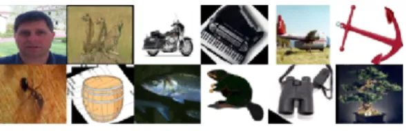 Figure 5: Some samples in the Caltech101 dataset.