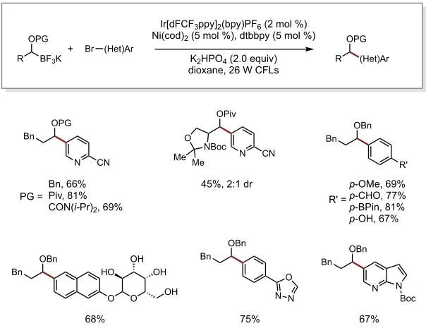 Figure 1.7. Protected secondary a–alkyoxytrifluoroborate coupling with aryl bromides