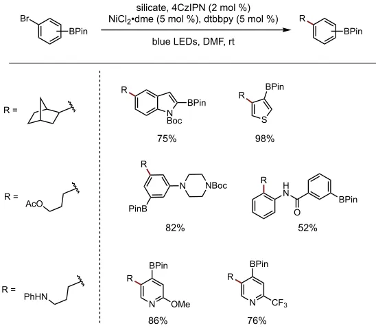 Figure 1.12. Alkylsilicate coupling with aryl boronates. 