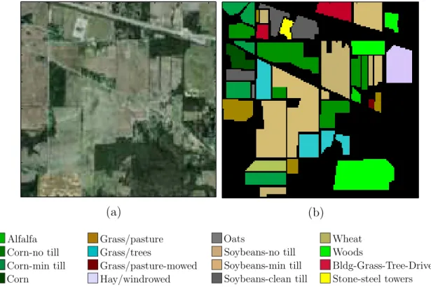 Figure 3.1. (a) True color image of the Indian Pines data set and (b) the ground truth, containing 16 different classes of mainly vegetation.
