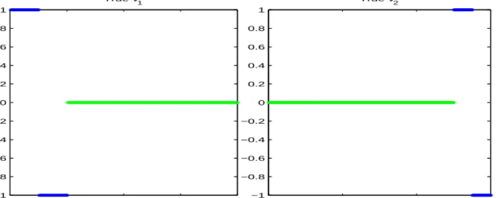 Figure 4.1: True value of vectors v 1 and v 2 .