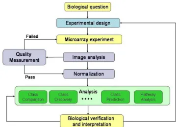 Figure 1 : The microarray analysis process 