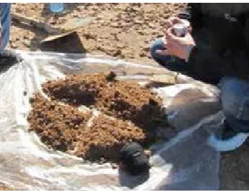 Figure 2. Soil sampling method. 