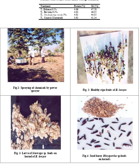 Table 3 (c): Effect of different fungicidal treatments on oil and protein   contents of B