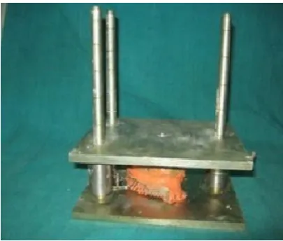 Fig. 1. Master model with abutment-a,b,c  