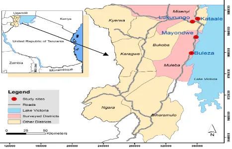 Figure 1. Map showing the study sites of Kagera region. Developed by: G.M; Karwani  