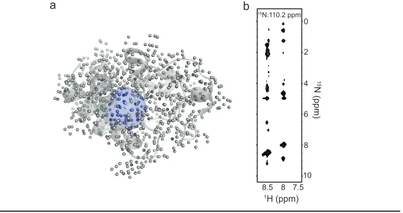 Figure 1.4. Utilizing hydrogens in proteins for structure determination. a) hydrogen atoms (represented as grey spheres) are very abundant in protein structures