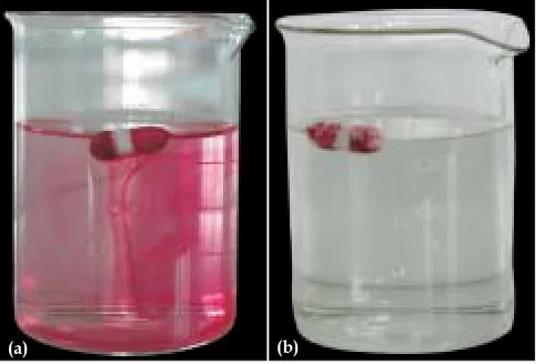 Fig. 2: Time taken for initial release of dye from the different asymmetric membrane capsules