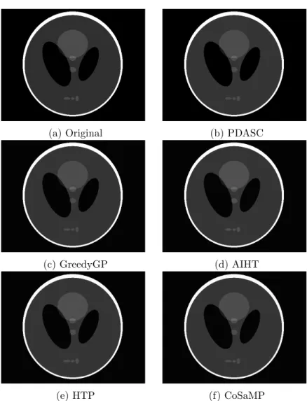 Figure 6: Reconstruction results of the two-dimensional Logan-Shepp image.