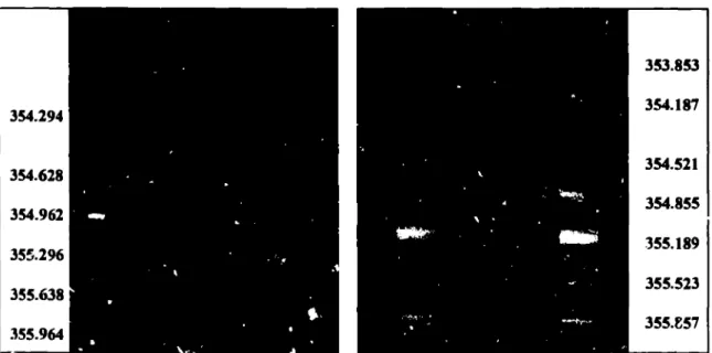Fig. 9 Timing sequence for PDD2. Inerfiame time is 167 ns. The large wrinkles in the foil are clearly seen