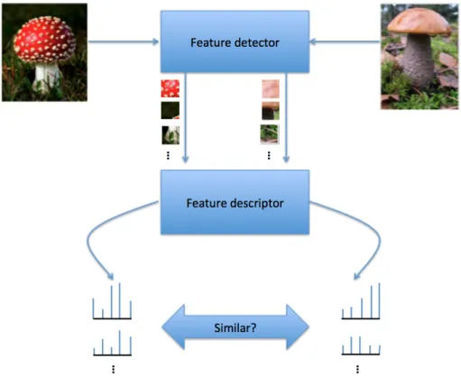 Figure 6. The process of finding similar features between two image.