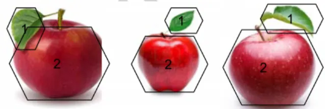 Figure 1: Different dimensions in the BoWs, representing different “object-groups”, may have hidden correlation due to the co-occurrences of the objects they represent in the original images.